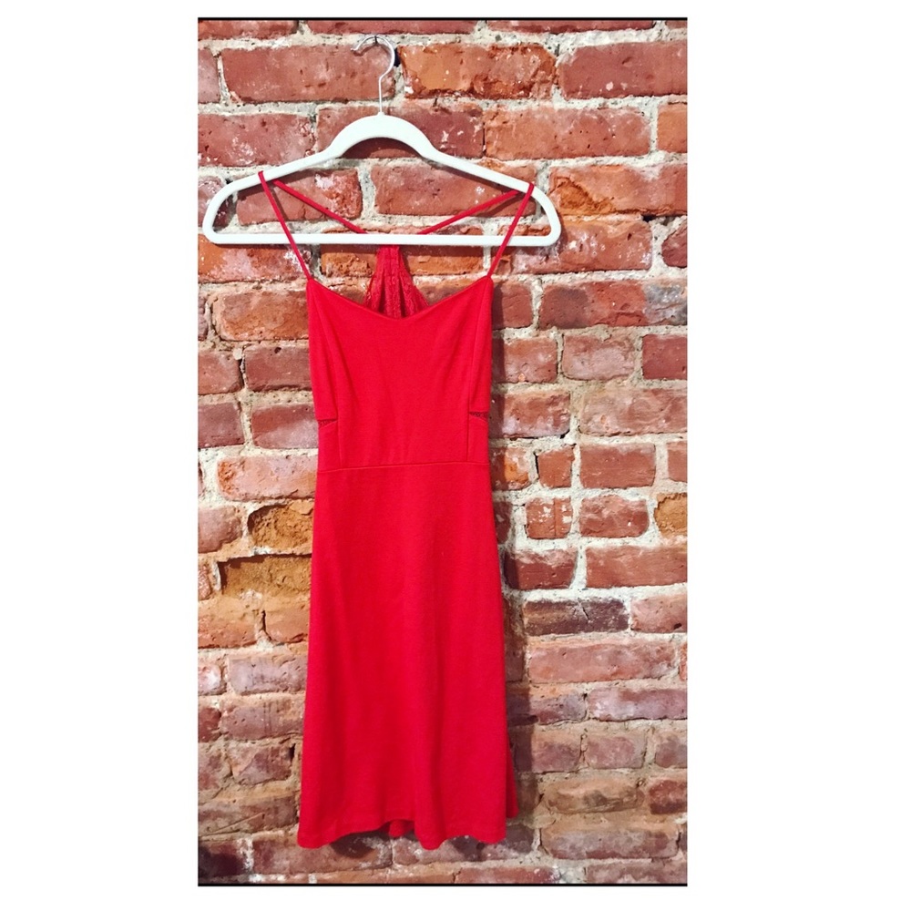 Express Lace Stretch Dress